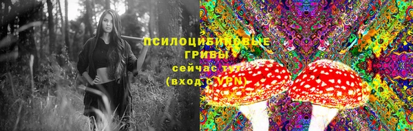 мдпв Краснослободск